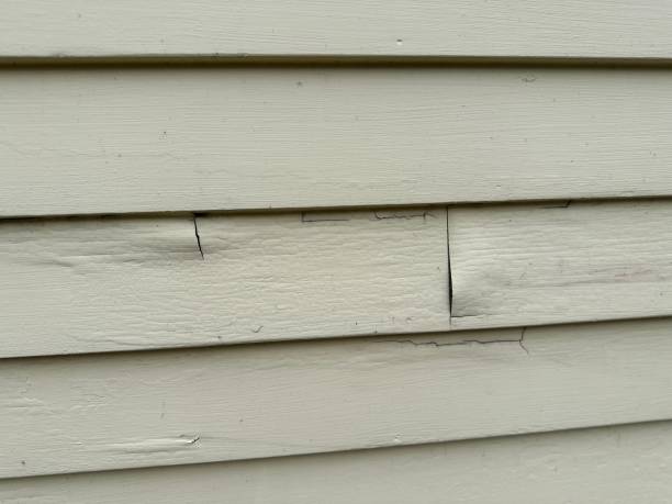 Best Stone Veneer Siding  in Woodstock, VA